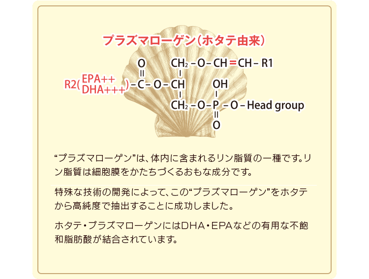 認知症　痴呆症など、プラズマローゲン（ホタテ由来）