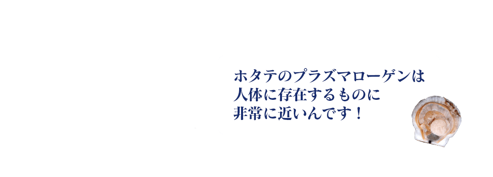 ホタテのプラズマローゲンは人体に存在するものに非常に近いんです！