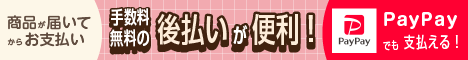 NP後払いwiz